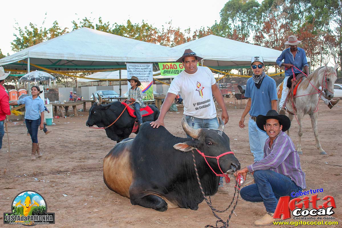 Festa da Pamonha (3 Dia)